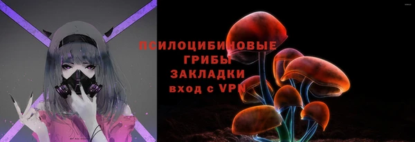 гидра Лиски