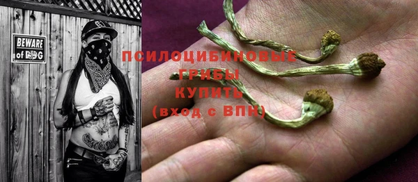 гидра Лиски