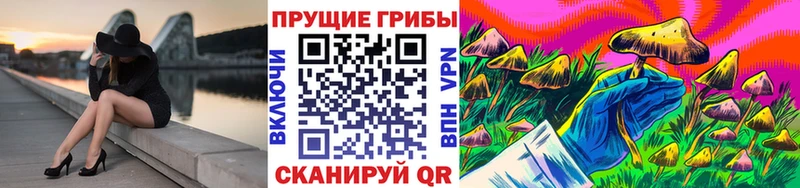 как найти наркотики Благодарный Псилоцибиновые грибы мицелий