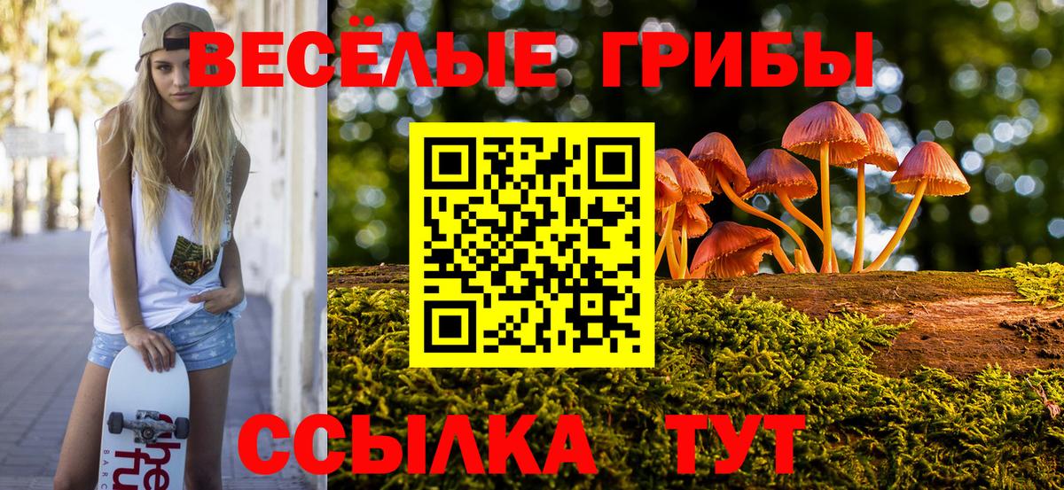 Псилоцибиновые грибы Magic Shrooms  Вход с VPN  Благодарный 
